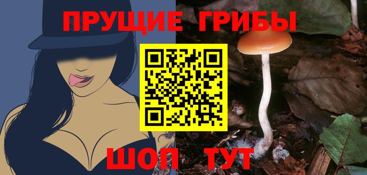 Псилоцибиновые грибы GOLDEN TEACHER  Вход с VPN  Галлюциногенные грибы GOLDEN TEACHER  Великий Устюг 